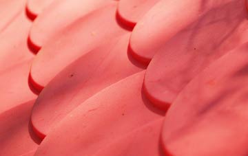 Upper Persley plastic roof costs